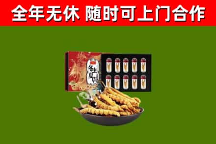 富川县烟酒回收冬虫夏草礼盒.jpg